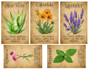 Read more about the article Friday Freebie Vintage Apothecary Cards